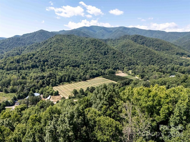 00 Aquarius Rd, Canton, NC 28716 - photo 9