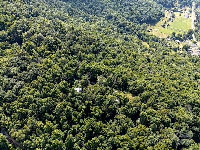 00 Aquarius Rd, Canton, NC 28716 - photo 10