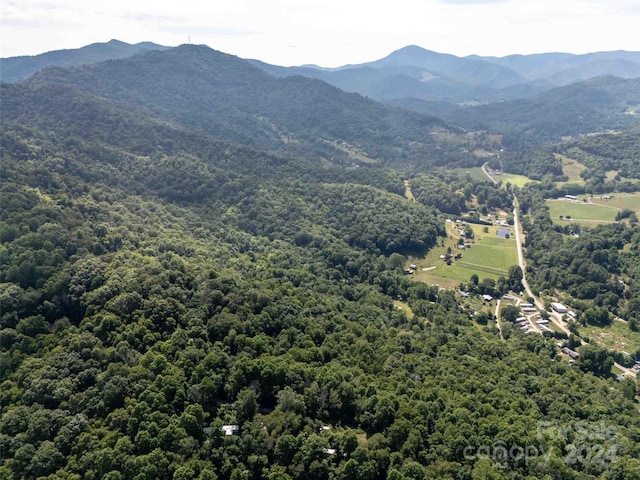 00 Aquarius Rd, Canton, NC 28716 - photo 11
