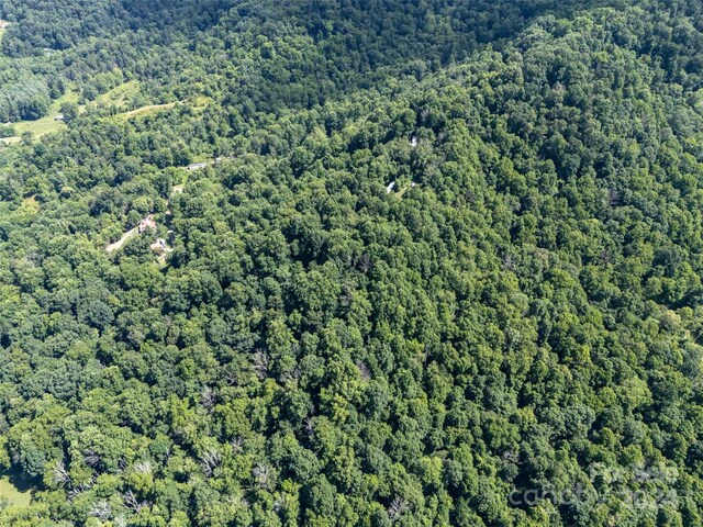 00 Aquarius Rd, Canton, NC 28716 - photo 12