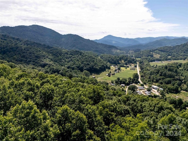 00 Aquarius Rd, Canton, NC 28716 - photo 13