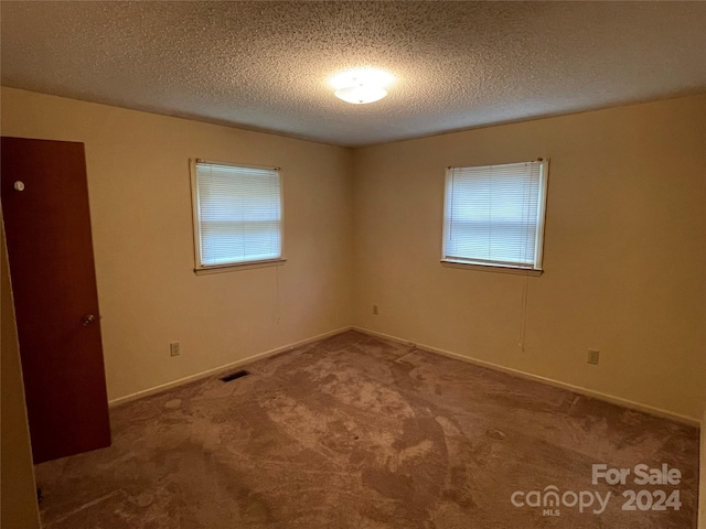 empty room featuring a textured ceiling, a healthy amount of sunlight, and carpet flooring