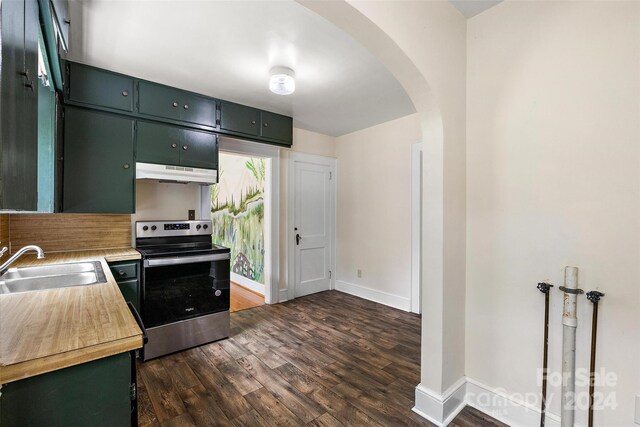 kitchen featuring stainless steel electric stove, premium range hood, dark hardwood / wood-style flooring, and sink