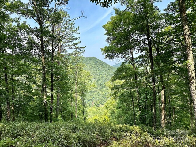 151 Wild Turkey Loop Unit 29, Marshall, NC 28753 - photo 1