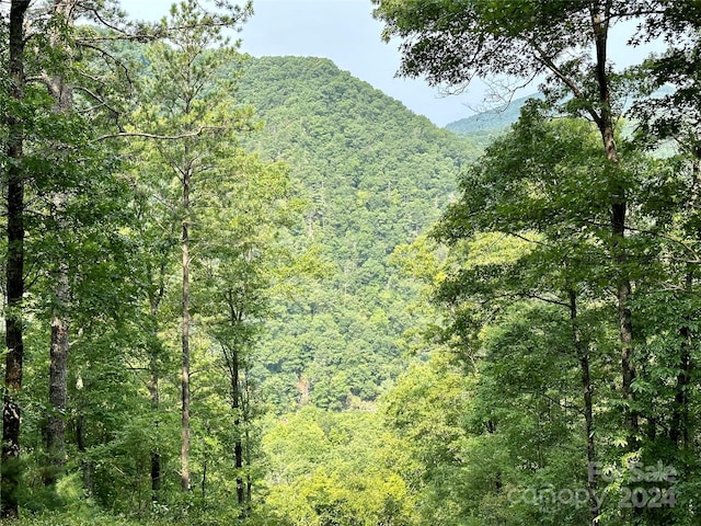 151 Wild Turkey Loop Unit 29, Marshall, NC 28753 - photo 2