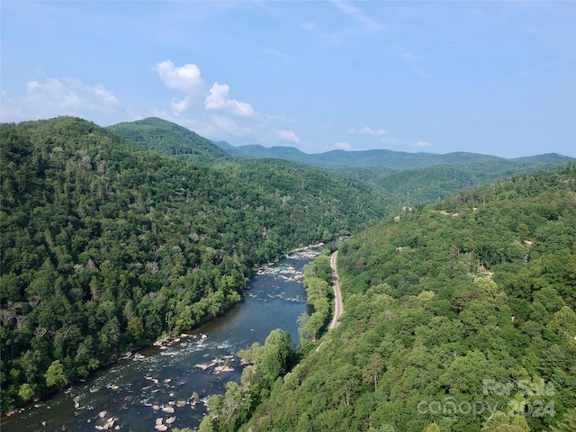 151 Wild Turkey Loop Unit 29, Marshall, NC 28753 - photo 17