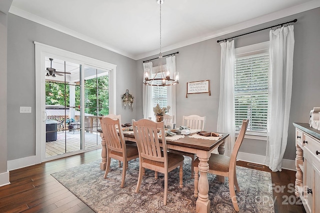 dining room featuring ceiling fan with notable chandelier, a healthy amount of sunlight, crown molding, and dark wood-type flooring