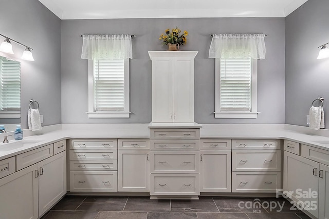 bathroom featuring vanity and a wealth of natural light