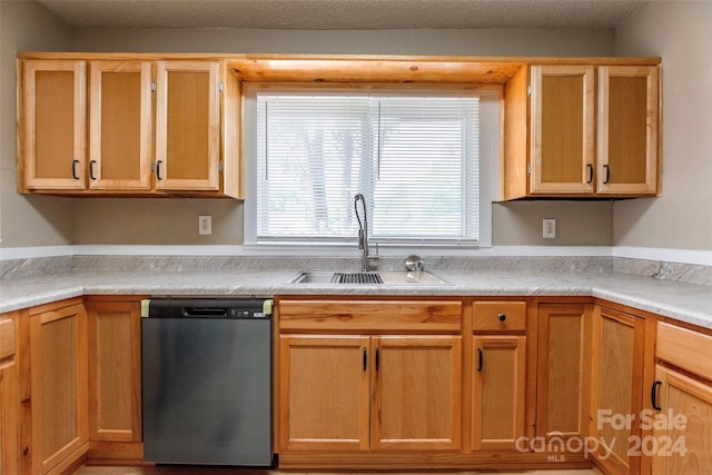 kitchen featuring sink and stainless steel dishwasher