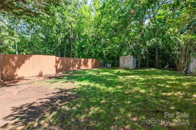 view of yard with a storage unit