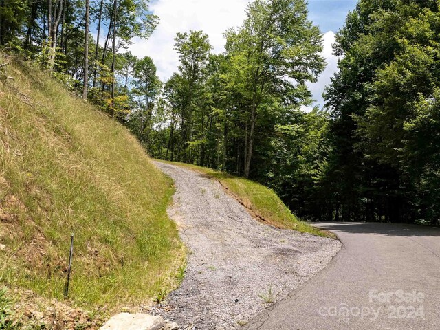 32 Tapestry Trl, Waynesville NC, 28785 land for sale