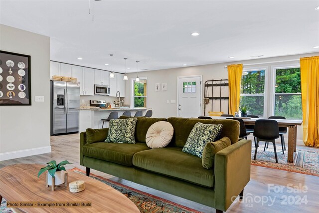 living room with light hardwood / wood-style floors and a wealth of natural light