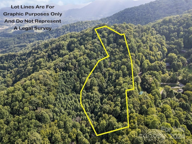 00 Jenkins Rd, Waynesville NC, 28785 land for sale