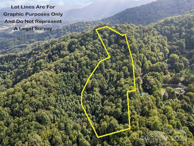 00 Jenkins Rd, Waynesville, NC 28785 - photo 1