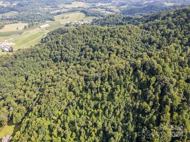 00 Jenkins Rd, Waynesville, NC 28785 - photo 2