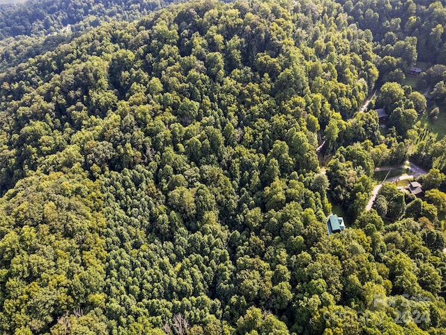 00 Jenkins Rd, Waynesville, NC 28785 - photo 3