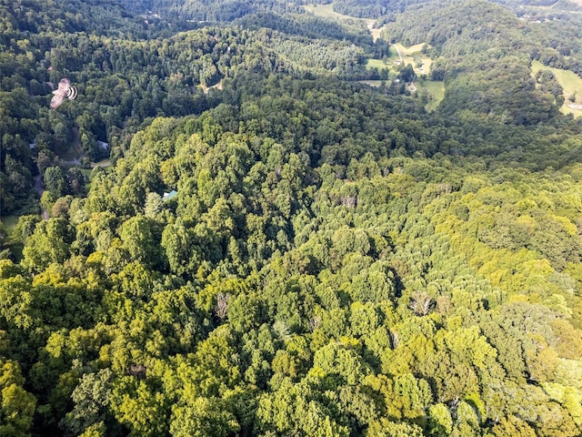 00 Jenkins Rd, Waynesville, NC 28785 - photo 4