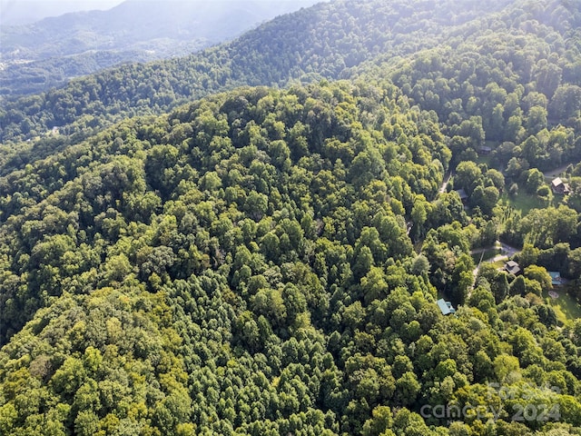 00 Jenkins Rd, Waynesville, NC 28785 - photo 5