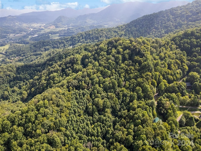 00 Jenkins Rd, Waynesville, NC 28785 - photo 6