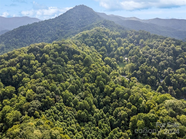 00 Jenkins Rd, Waynesville, NC 28785 - photo 8