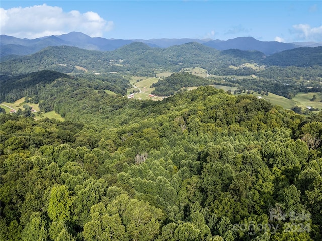 00 Jenkins Rd, Waynesville, NC 28785 - photo 9