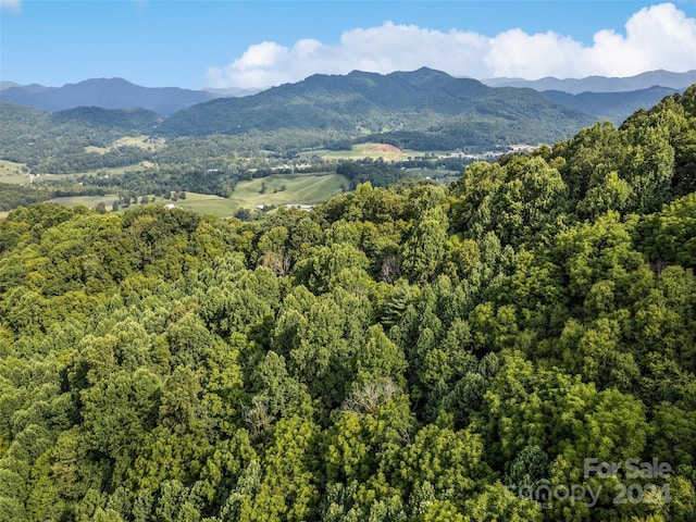 00 Jenkins Rd, Waynesville, NC 28785 - photo 10