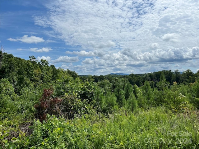 0 Hopewell Rd, Morganton, NC 28655