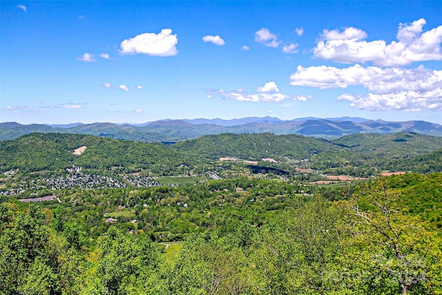 view of mountain feature