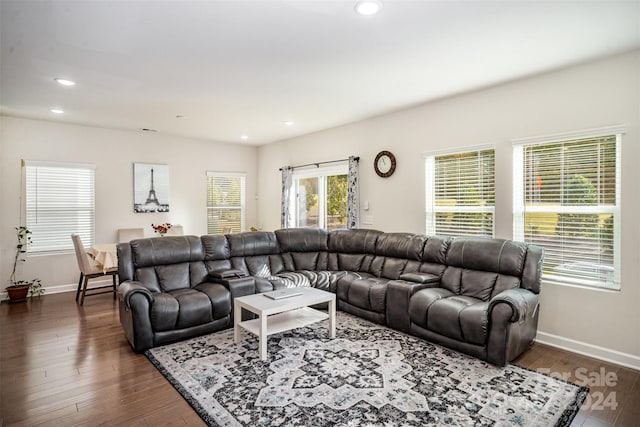 living room with dark hardwood / wood-style flooring