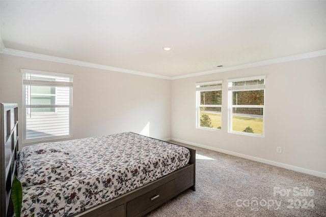 bedroom with ornamental molding, light carpet, and multiple windows