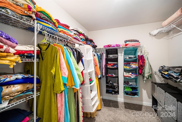 walk in closet with carpet floors