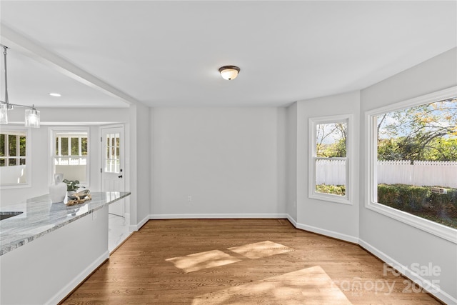 unfurnished dining area with hardwood / wood-style flooring and plenty of natural light