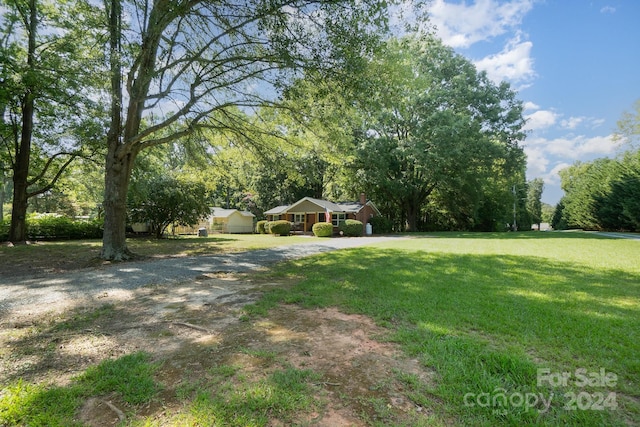 view of yard featuring dirt driveway