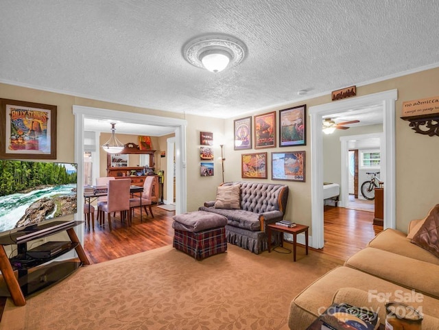 living room with a textured ceiling, ornamental molding, and wood finished floors