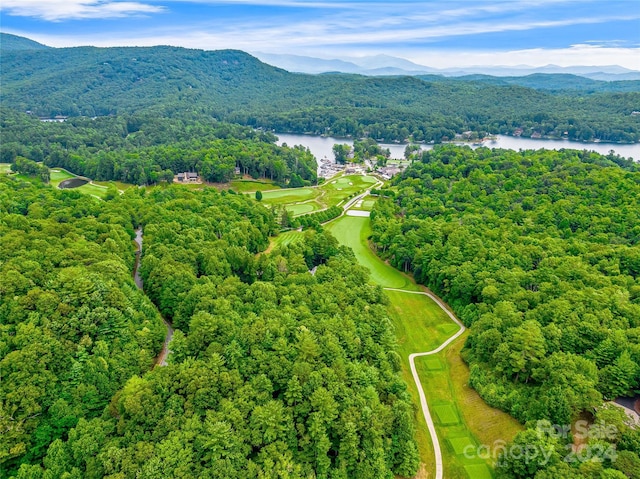 K28 Chestnut Trce, Lake Toxaway NC, 28747 land for sale