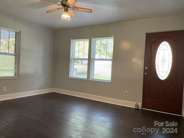 foyer entrance featuring ceiling fan, plenty of natural light, a textured ceiling, and dark wood-type flooring