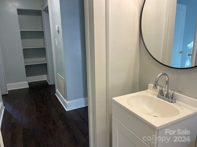 bathroom featuring hardwood / wood-style flooring and vanity