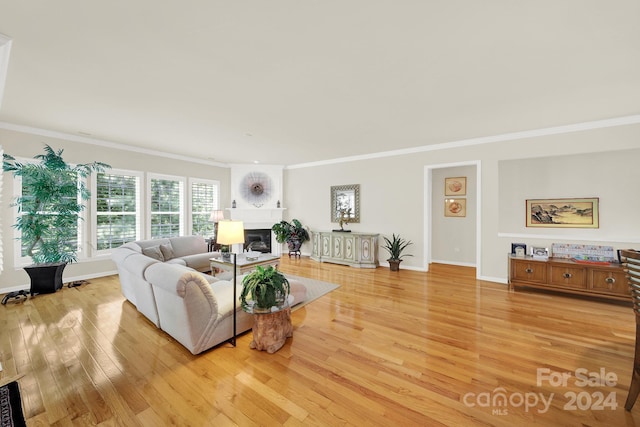 living room with ornamental molding and light wood-type flooring