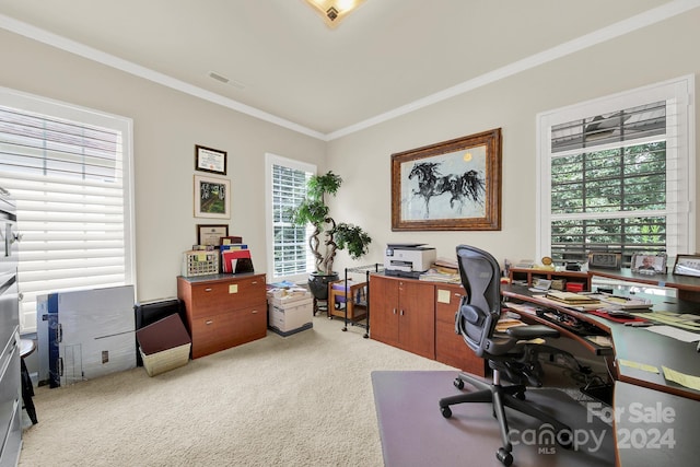 office featuring light carpet, visible vents, and ornamental molding