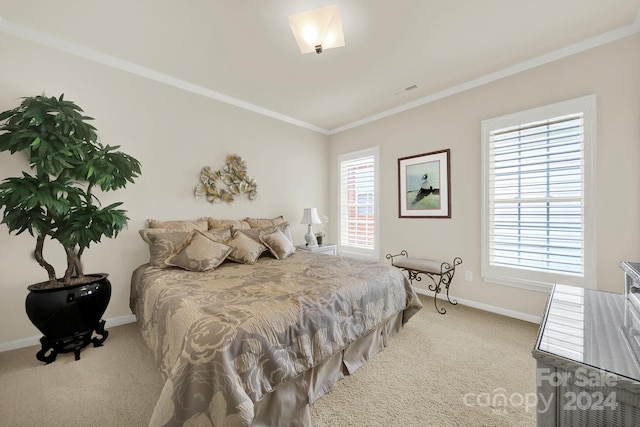 bedroom featuring crown molding and carpet