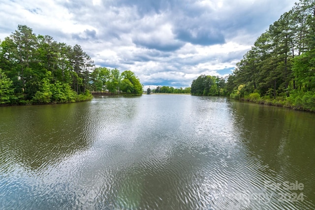 property view of water featuring a wooded view