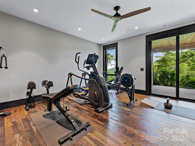 workout area featuring dark wood-type flooring and ceiling fan