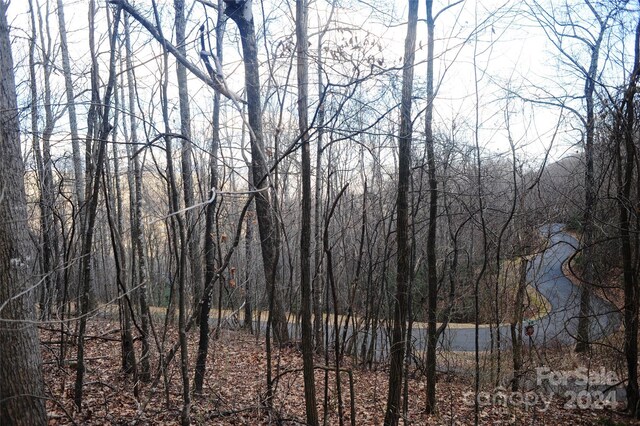 54 Great Aspen Way Unit 701, Black Mountain, NC 28711 - photo 1