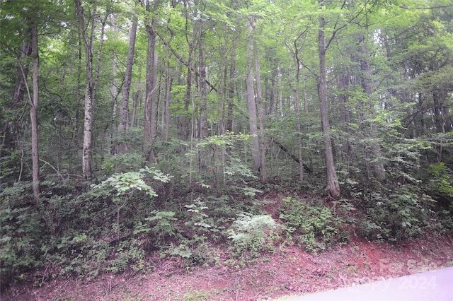 Listing photo 2 for 54 Great Aspen Way Unit 701, Black Mountain NC 28711