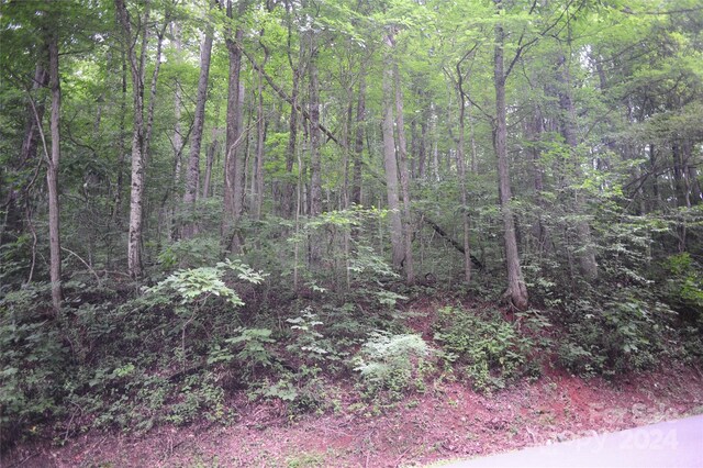 54 Great Aspen Way Unit 701, Black Mountain, NC 28711 - photo 2