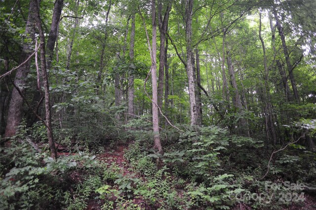 54 Great Aspen Way Unit 701, Black Mountain, NC 28711 - photo 3