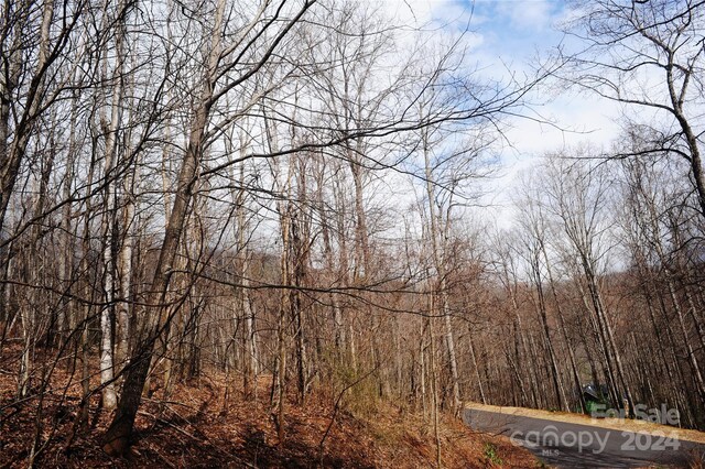54 Great Aspen Way Unit 701, Black Mountain, NC 28711 - photo 4
