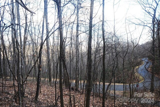 54 Great Aspen Way Unit 701, Black Mountain, NC 28711 - photo 7
