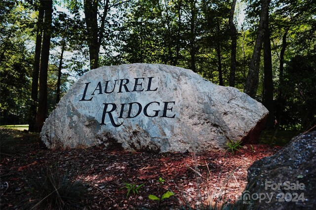 54 Great Aspen Way Unit 701, Black Mountain, NC 28711 - photo 8