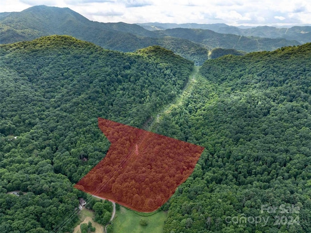 00 Waterwheel Cv, Clyde NC, 28721 land for sale